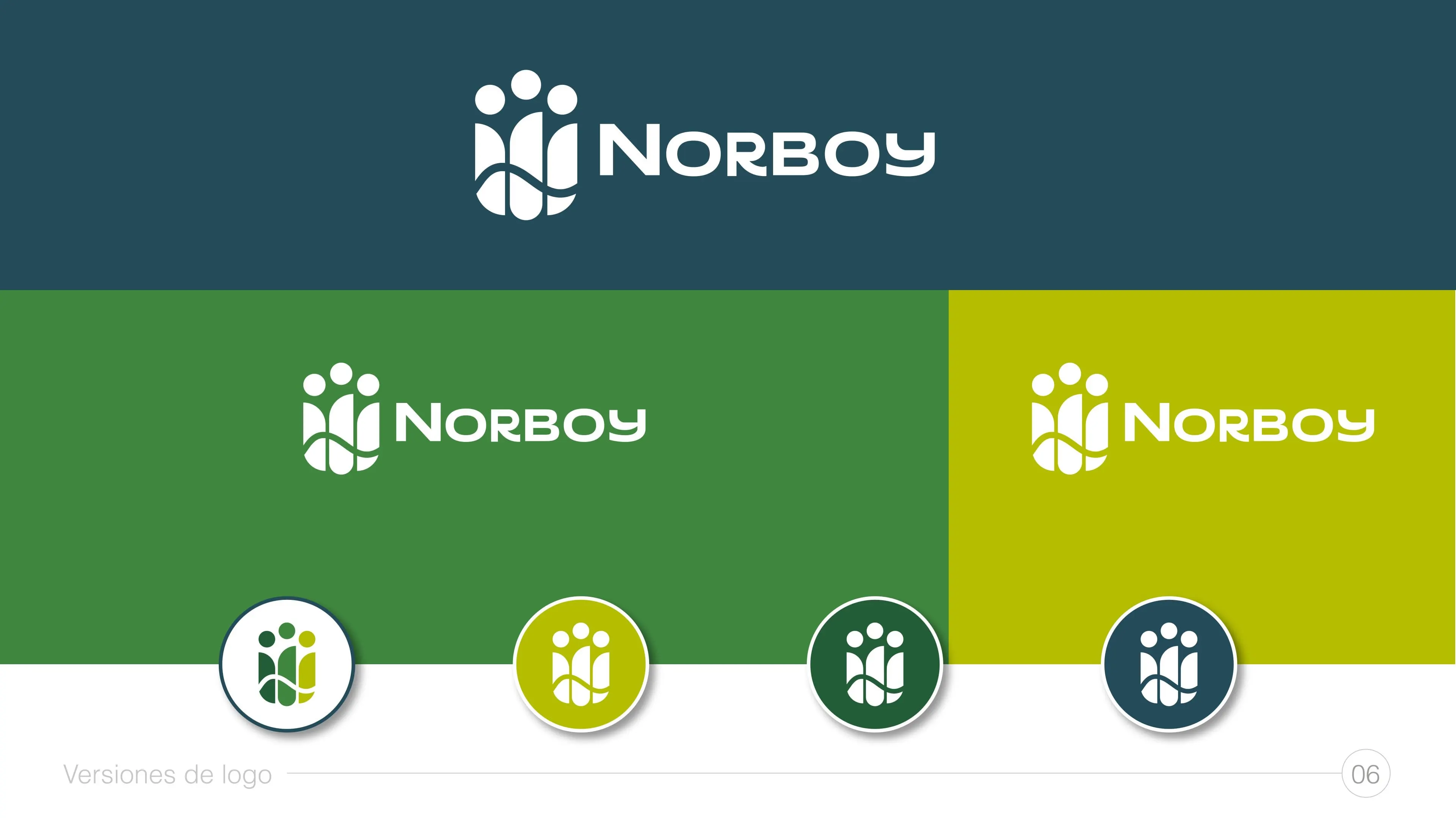 NORBOY visual 1